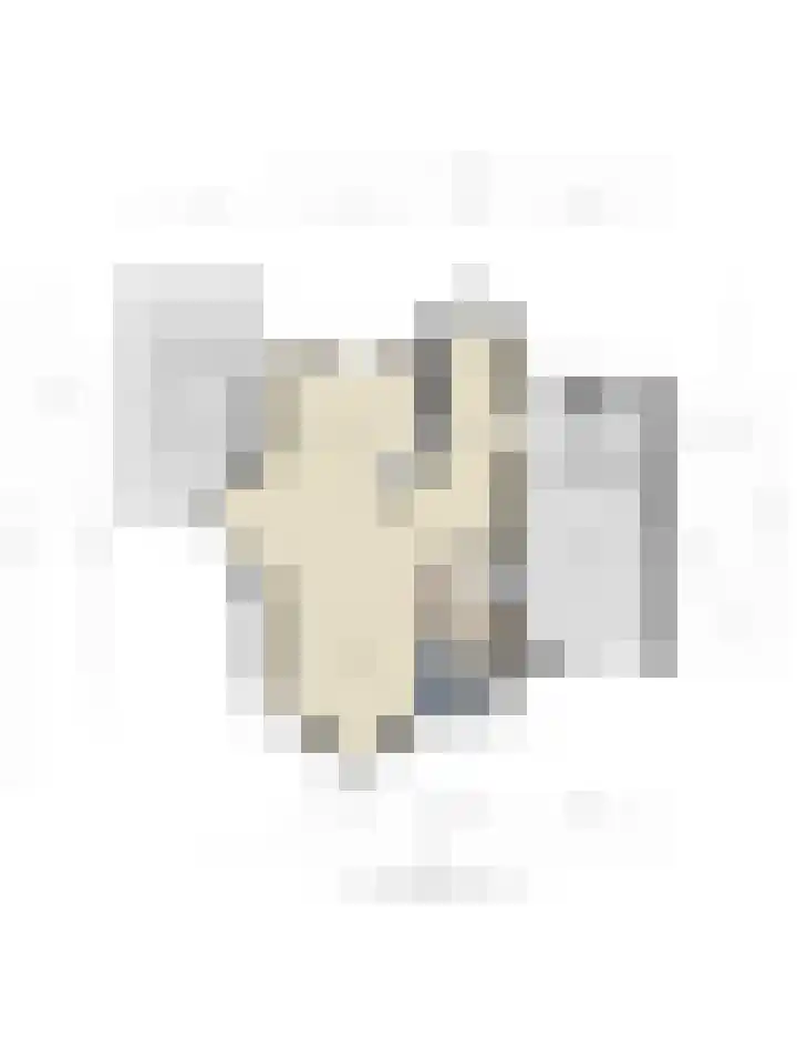 Seringelaar 7 Veghel thumbnail 6