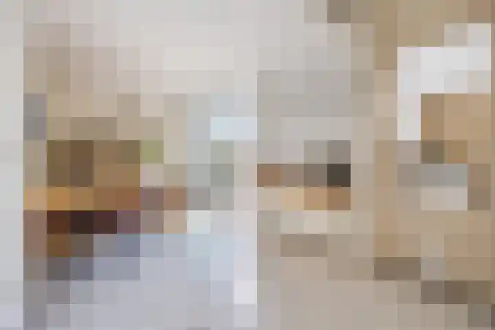 Seringenlaan 106 Steenbergen thumbnail 15