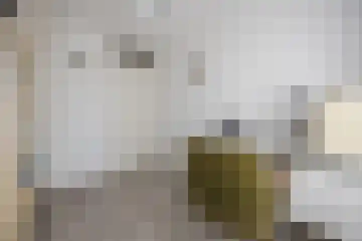 Seringenlaan 106 Steenbergen thumbnail 30