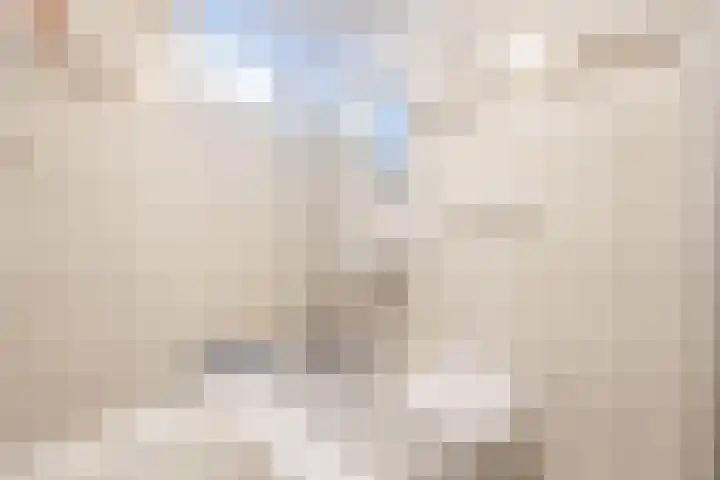 Seringenlaan 106 Steenbergen thumbnail 32