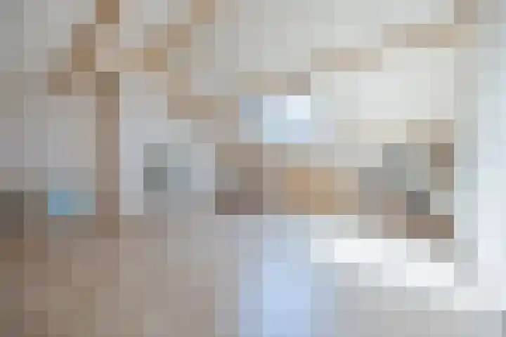 Seringenlaan 106 Steenbergen thumbnail 43