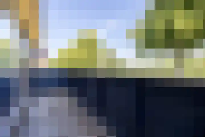 Seringenlaan 106 Steenbergen thumbnail 47