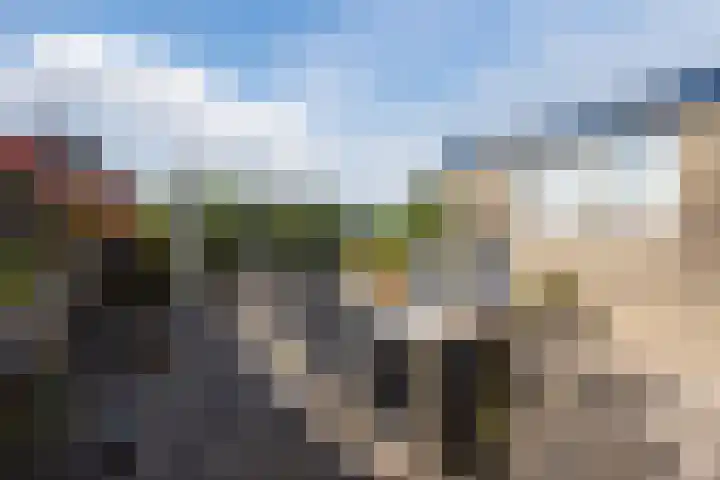 Seringenlaan 106 Steenbergen thumbnail 49