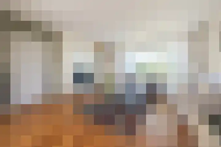 Seringenlaan 106 Steenbergen thumbnail 5