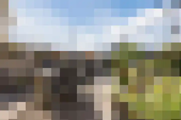 Seringenlaan 106 Steenbergen thumbnail 50