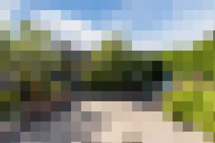 Seringenlaan 106 Steenbergen thumbnail 51