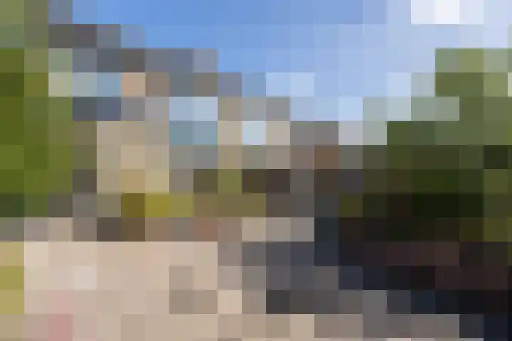 Seringenlaan 106 Steenbergen thumbnail 52