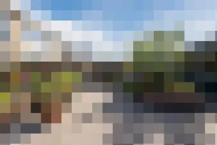 Seringenlaan 106 Steenbergen thumbnail 53