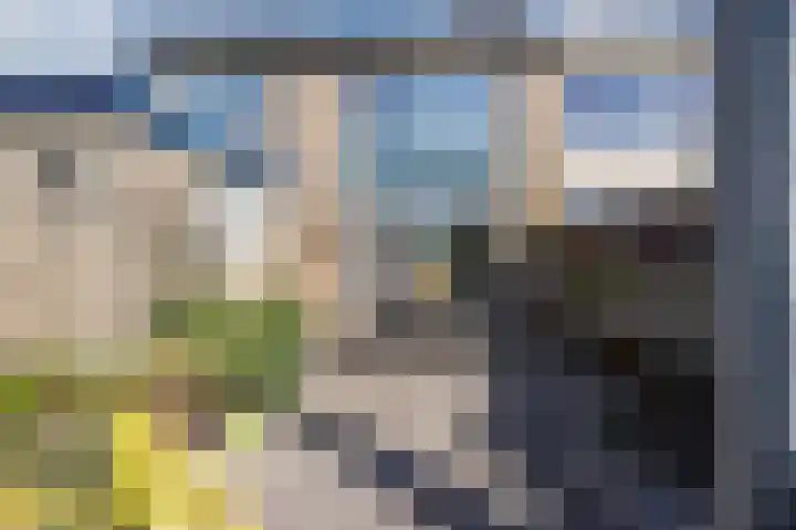 Seringenlaan 106 Steenbergen thumbnail 54
