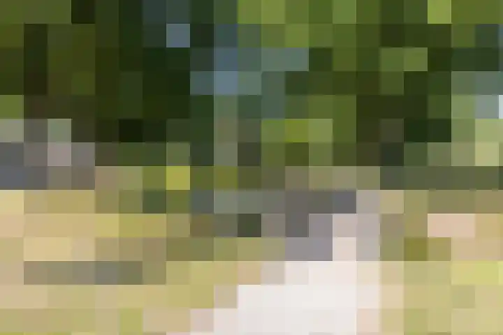 Seringenlaan 106 Steenbergen thumbnail 56