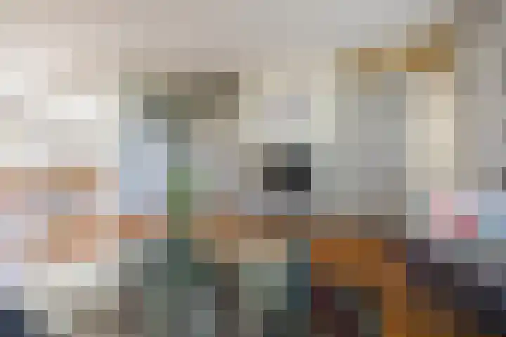 Seringenlaan 106 Steenbergen thumbnail 6
