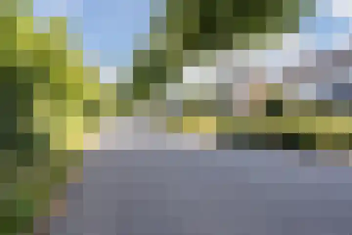 Seringenlaan 106 Steenbergen thumbnail 61