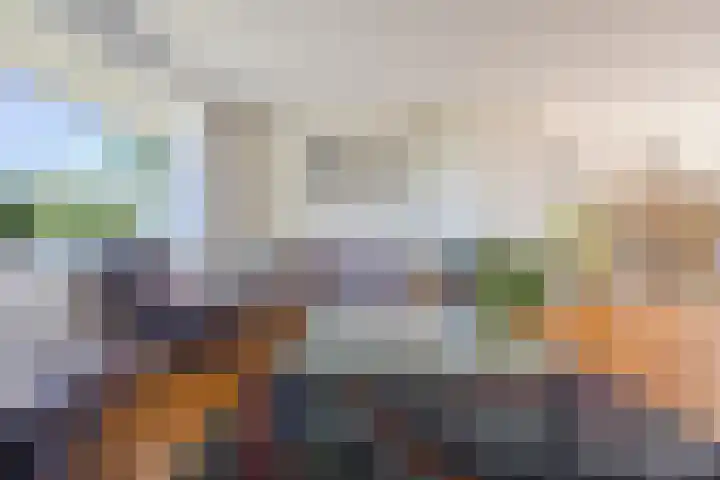 Seringenlaan 106 Steenbergen thumbnail 8