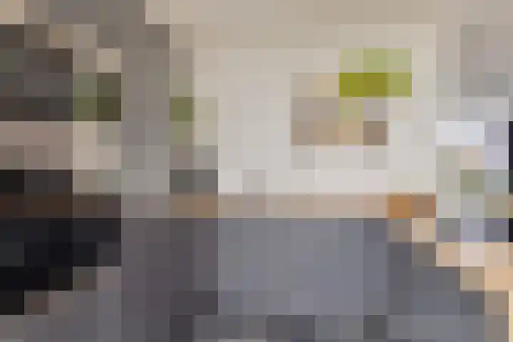 Seringenlaan 26 Breda thumbnail 10