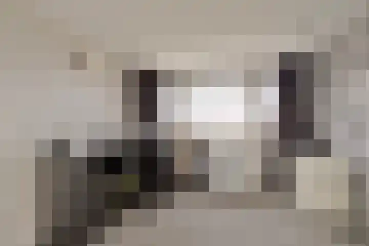 Seringenlaan 26 Breda thumbnail 21
