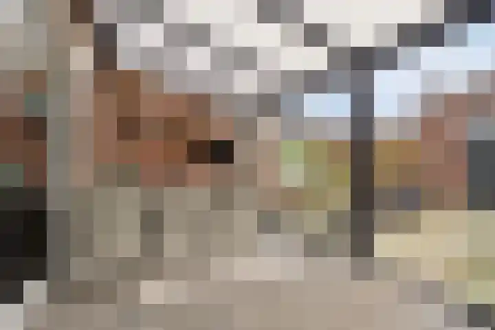 Seringenlaan 26 Breda thumbnail 23