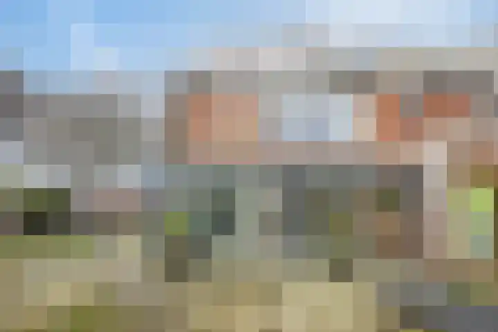 Seringenlaan 26 Breda thumbnail 25