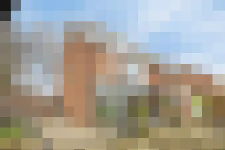 Seringenlaan 26 Breda thumbnail 29