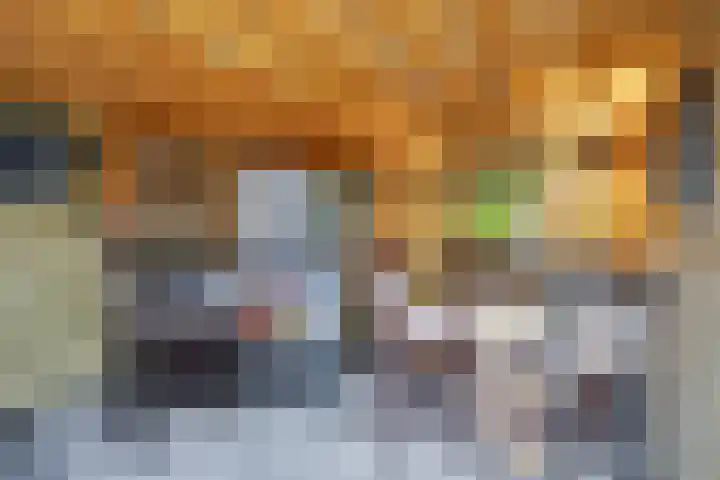 Seringenlaan 26 Breda thumbnail 30