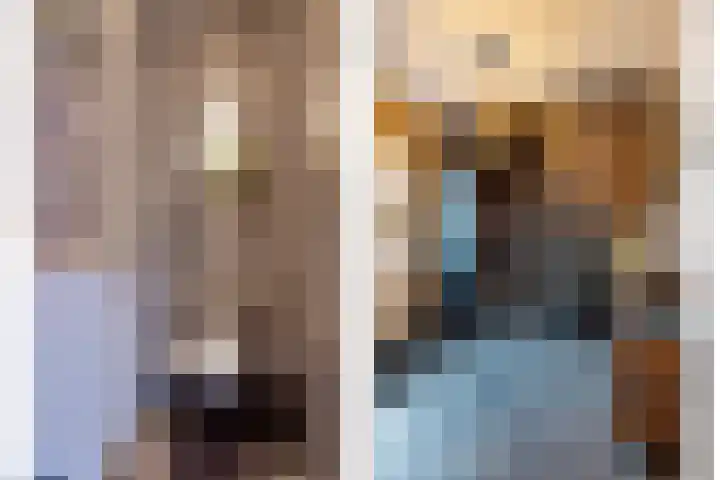 Seringenlaan 26 Breda thumbnail 31