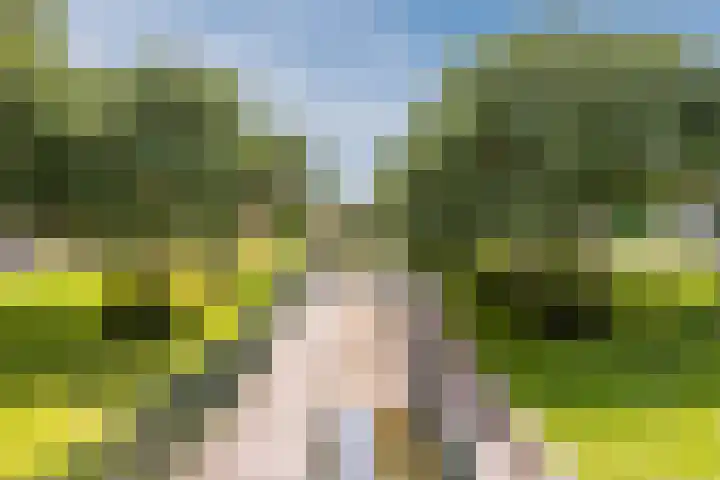 Seringenlaan 26 Breda thumbnail 32