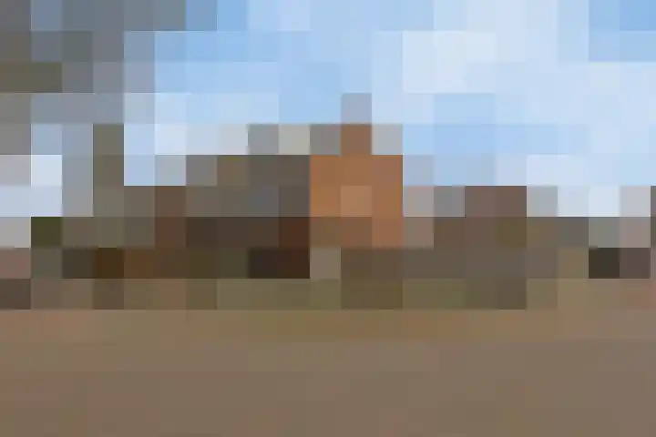 Seringenlaan 26 Breda thumbnail 32