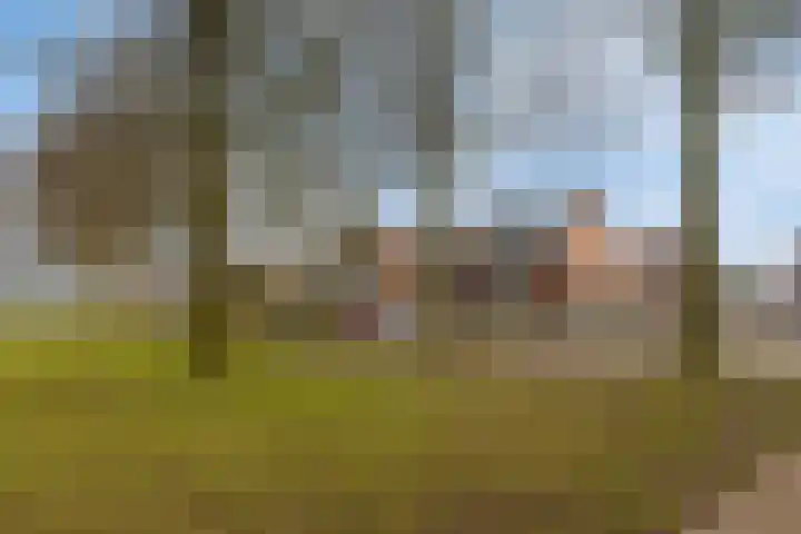 Seringenlaan 26 Breda thumbnail 33