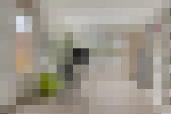 Seringenlaan 26 Breda thumbnail 37