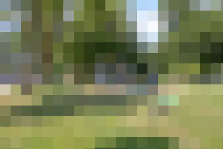 Seringenlaan 26 Breda thumbnail 38