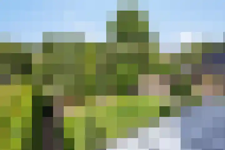 Seringenlaan 26 Breda thumbnail 5