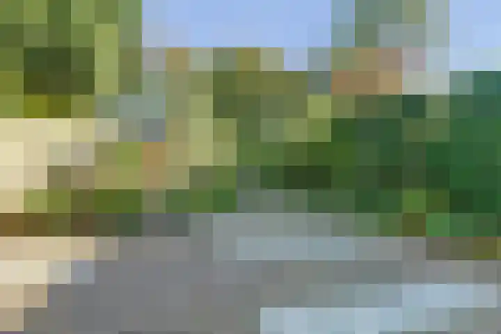 Seringenlaan 29 Doesburg thumbnail 31