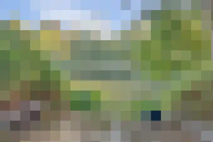 Seringenlaan 29 Doesburg thumbnail 35