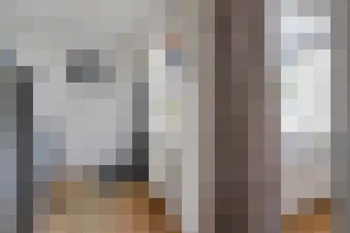 Seringenpad 7 Hoogland thumbnail 15