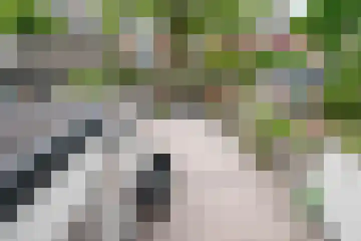 Seringenpad 7 Hoogland thumbnail 26