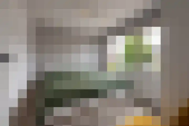 Seringenstraat 10 Putte thumbnail 19