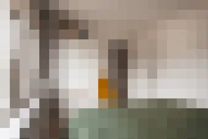 Seringenstraat 10 Putte thumbnail 20