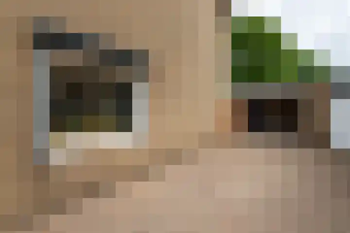Seringenstraat 10 Putte thumbnail 34