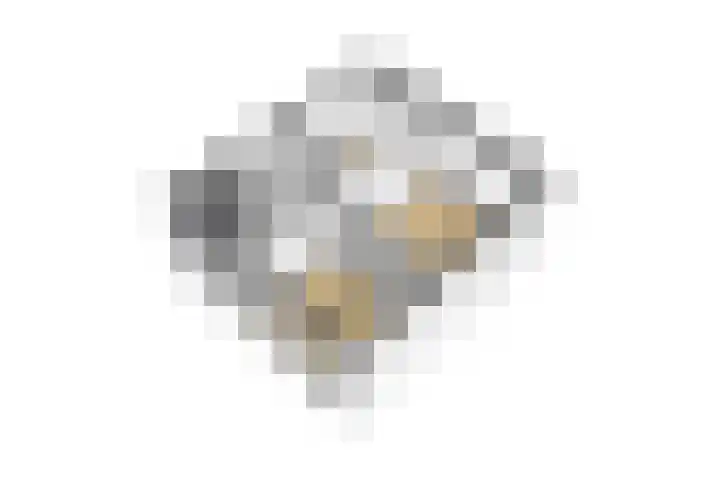 Seringenstraat 10 Putte thumbnail 43