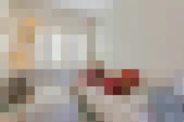 Seringstraat 15 Huizen thumbnail 14