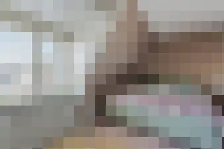 Seringstraat 15 Huizen thumbnail 20