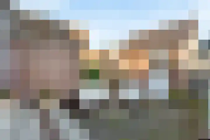 Seringstraat 15 Huizen thumbnail 32
