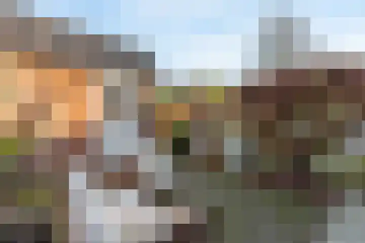 Seringstraat 15 Huizen thumbnail 33