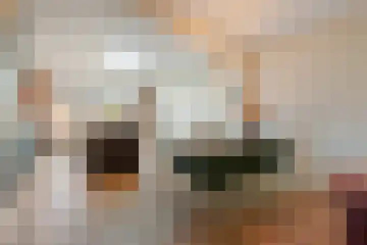 Seringstraat 15 Huizen thumbnail 4
