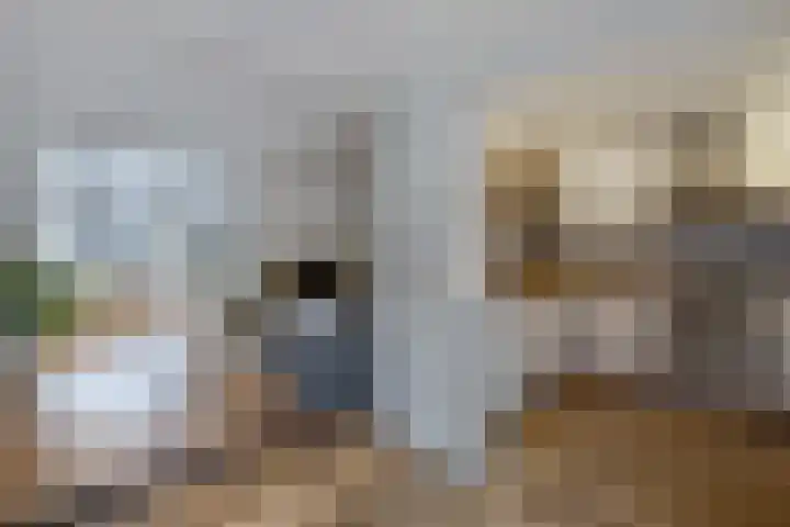 Seringstraat 19 Huizen thumbnail 10