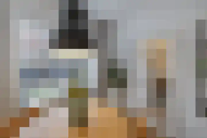 Seringstraat 19 Huizen thumbnail 9