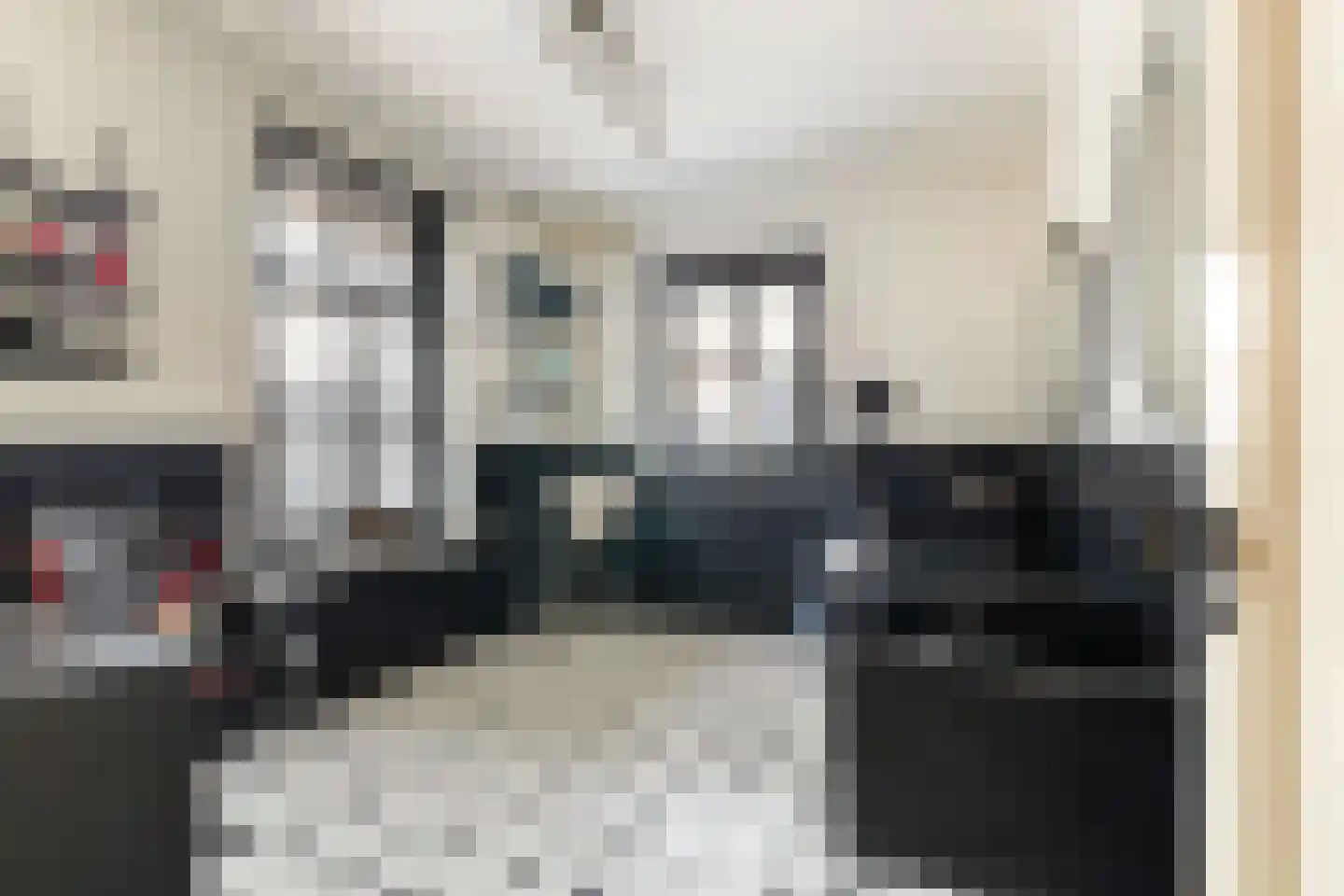 Seringstraat 37 Ederveen thumbnail 25