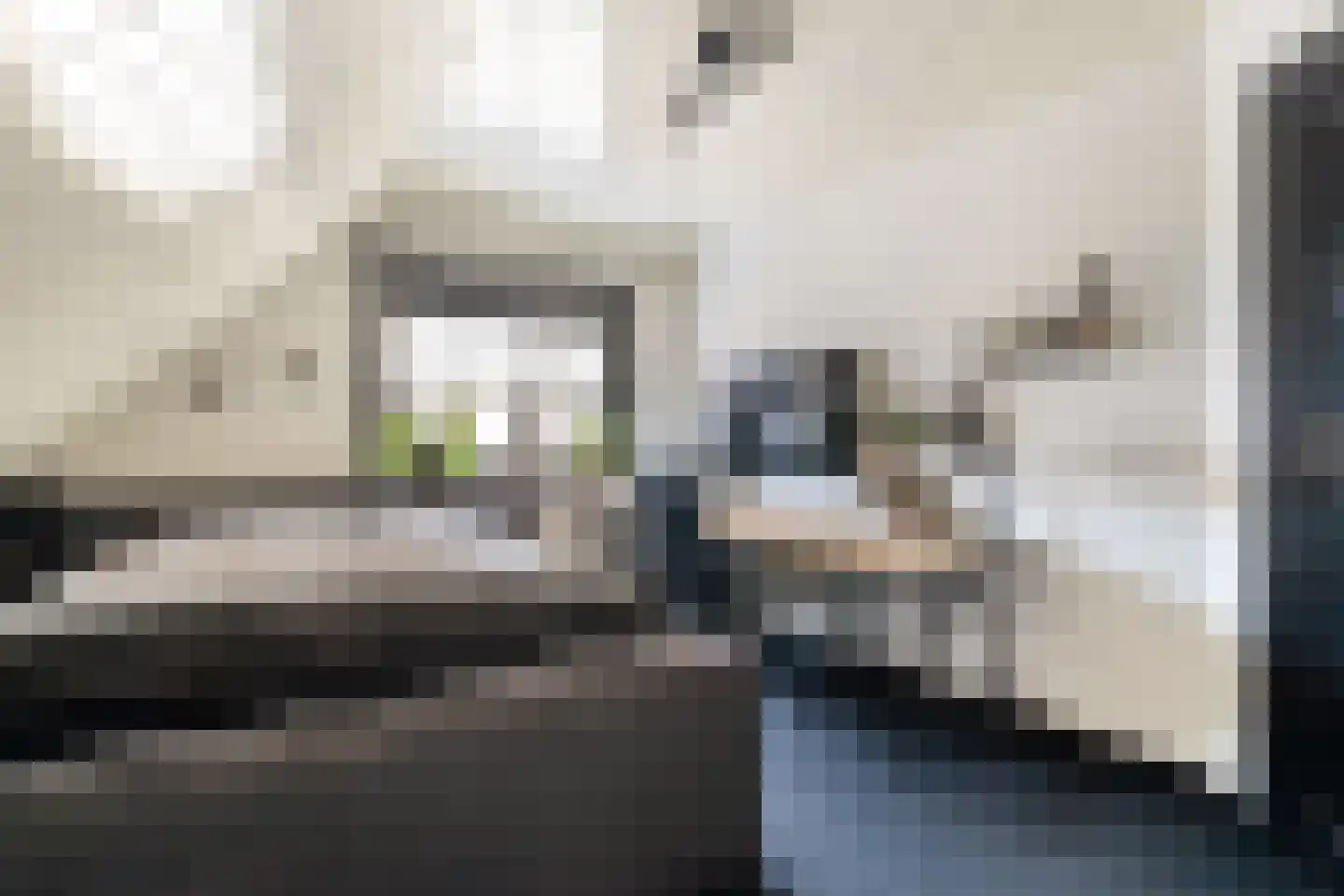 Seringstraat 37 Ederveen thumbnail 39