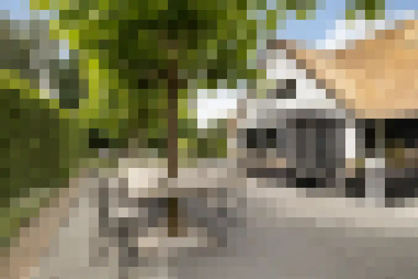 Seringstraat 37 Ederveen thumbnail 43