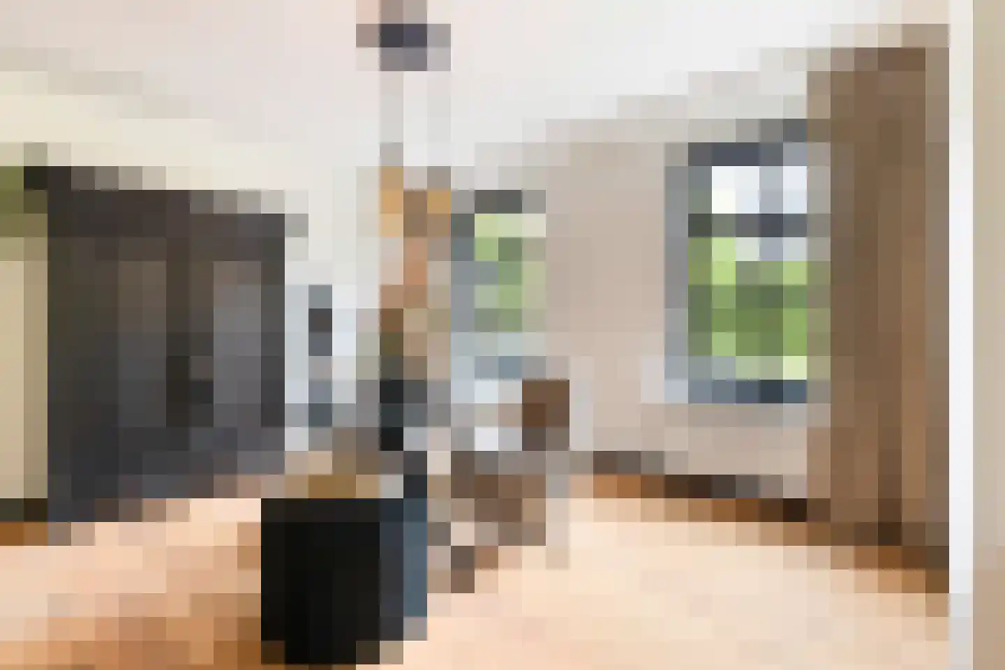 Seringstraat 37 Ederveen thumbnail 6