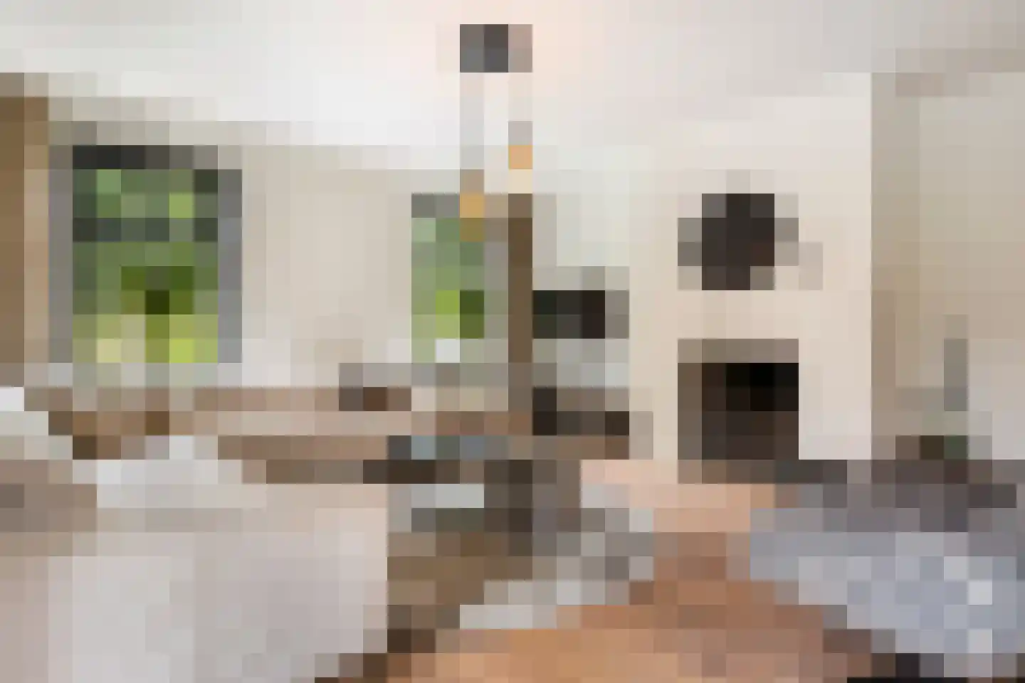 Seringstraat 37 Ederveen thumbnail 9